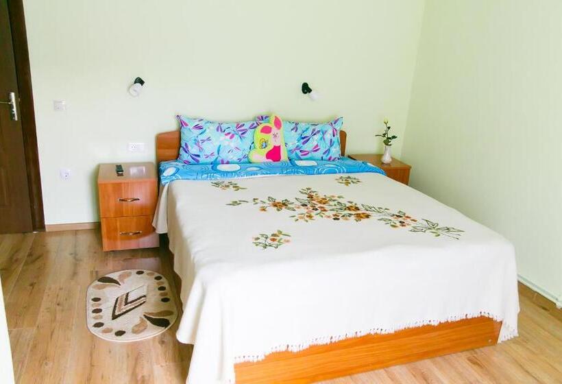 اتاق اکونومی, Casa Doboş