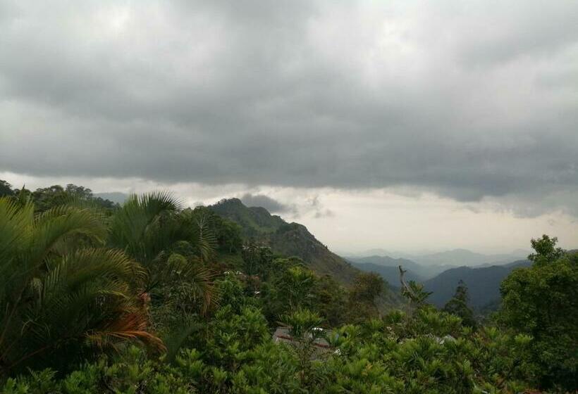 غرفة قياسية مطلة على الجبل, Tea Garden Holiday Inn