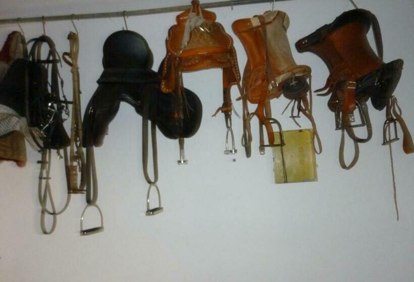 带阳台的豪华间, Agriturismo Ticci