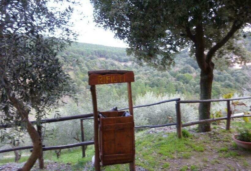 带阳台的豪华间, Agriturismo Ticci