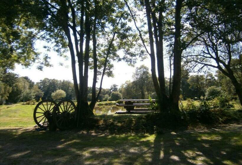 Standart Oda, Chambre D Hôte Atypique Trappeur West Little Ranch