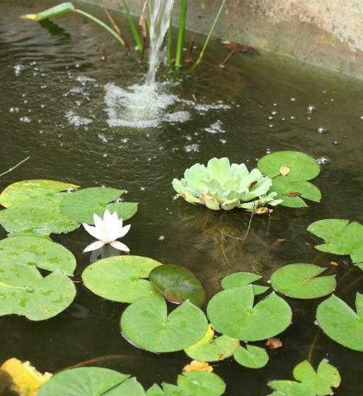 스탠다드 룸, Le Moulinage