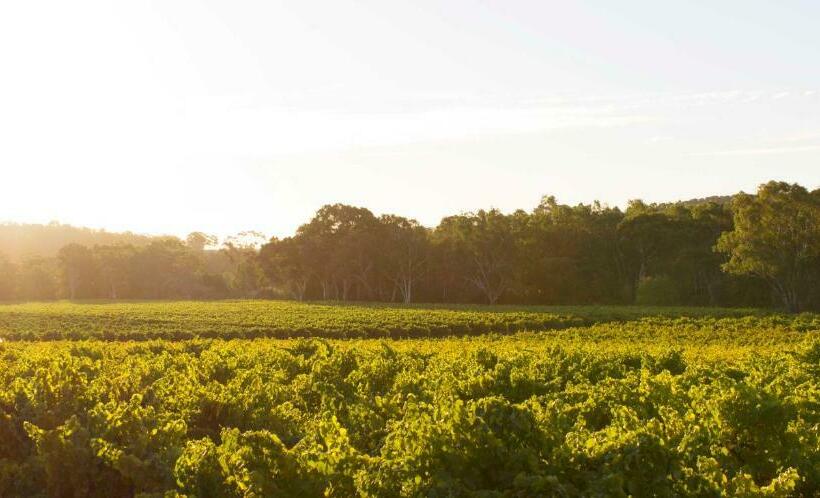 豪华房间, Bed & Breakfast At Tiffany's