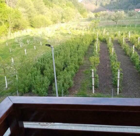 חדר סטנדרט עם מרפסת, Livada Amely