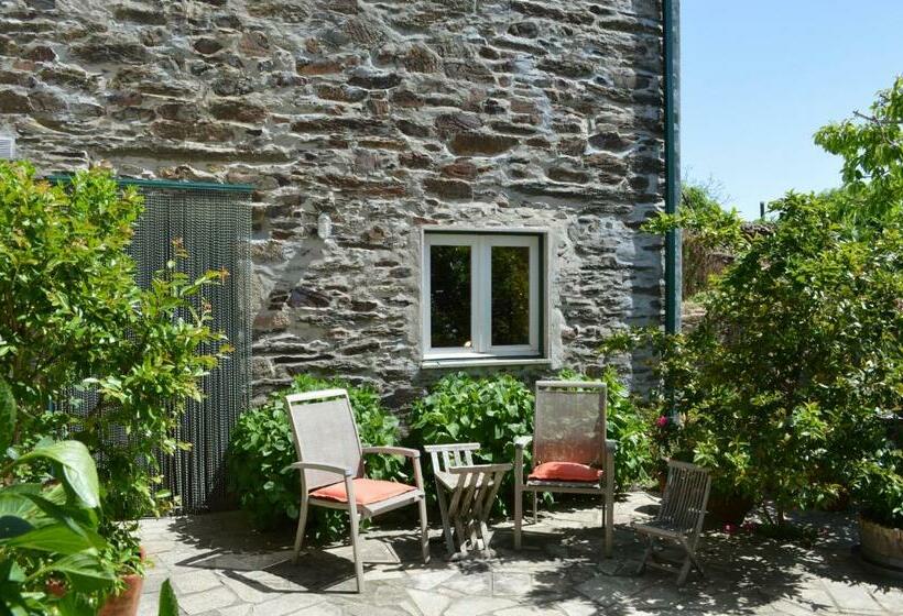 スーペリアールーム, Mesao Provesende