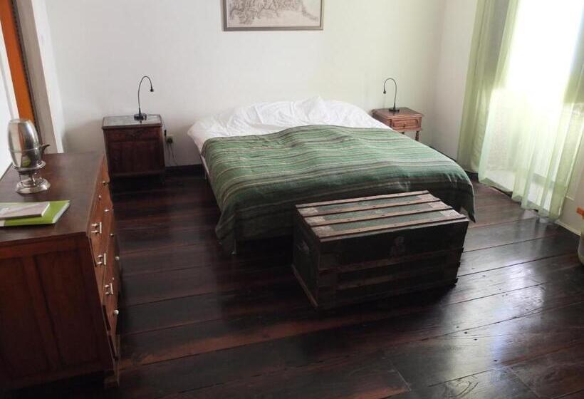 スタンダードルーム, Mesao Provesende