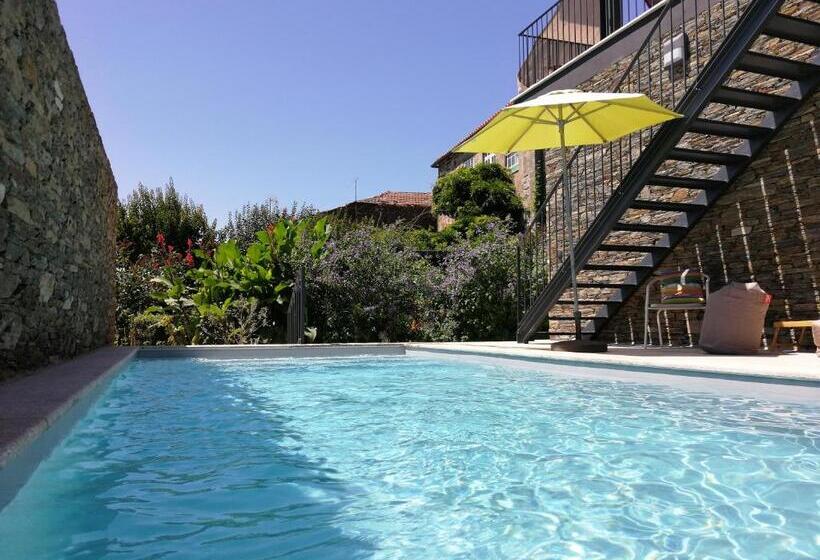 スタンダードルーム, Mesao Provesende