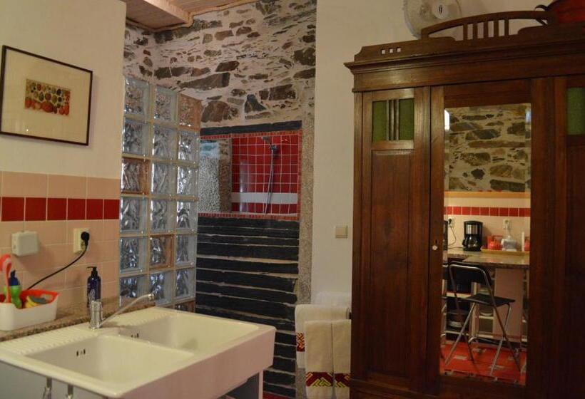 スタンダードスタジオ, Mesao Provesende