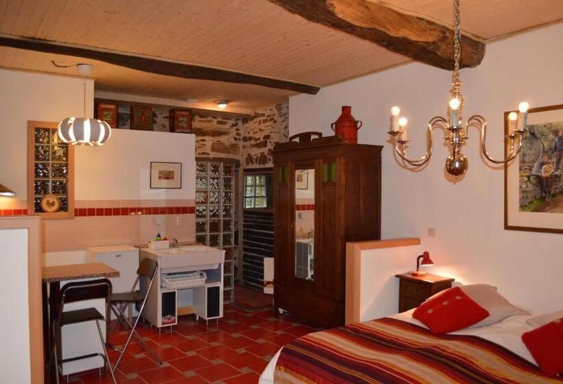 スタンダードスタジオ, Mesao Provesende