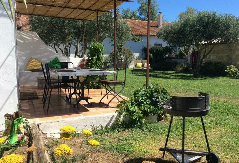 Номер Стандарт Вид на Сад, Terre De Boheme