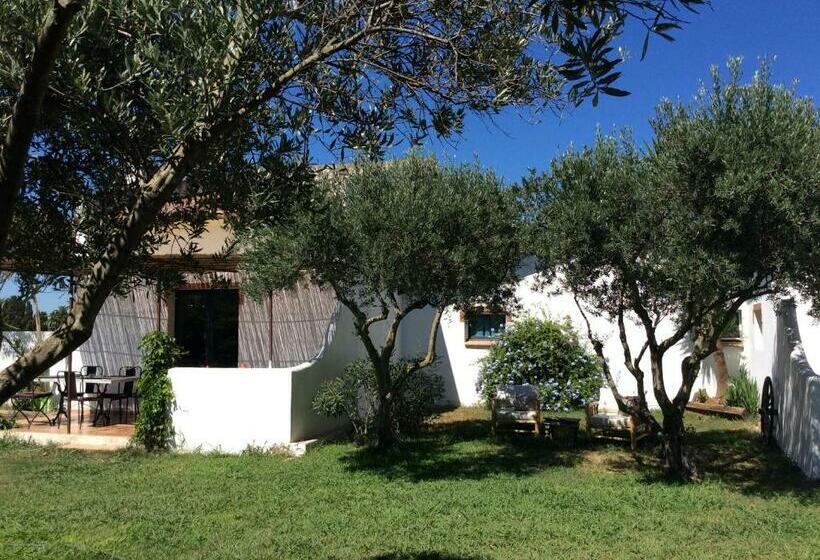 Номер Стандарт Вид на Сад, Terre De Boheme