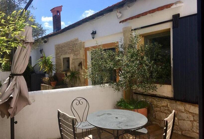 Номер Стандарт Вид на Сад, Terre De Boheme