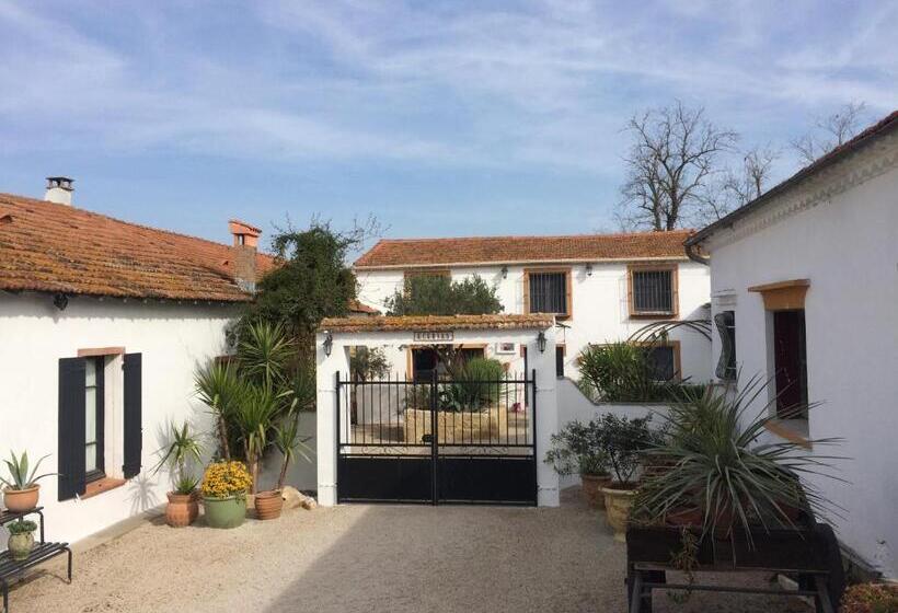 Номер Стандарт Вид на Сад, Terre De Boheme