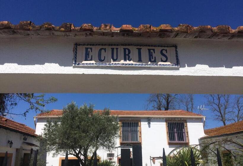 Номер Стандарт Вид на Сад, Terre De Boheme