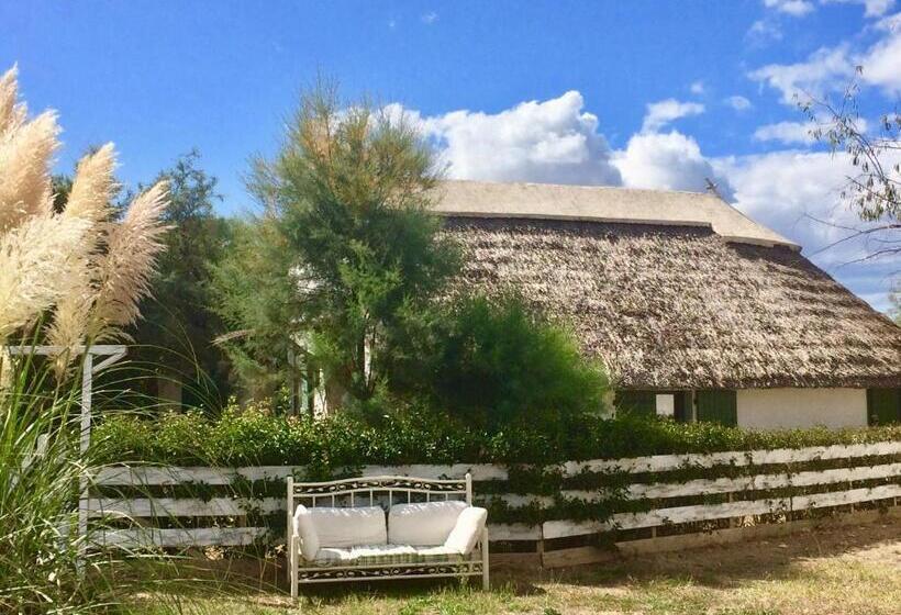 Дом 1 Спальня, Terre De Boheme