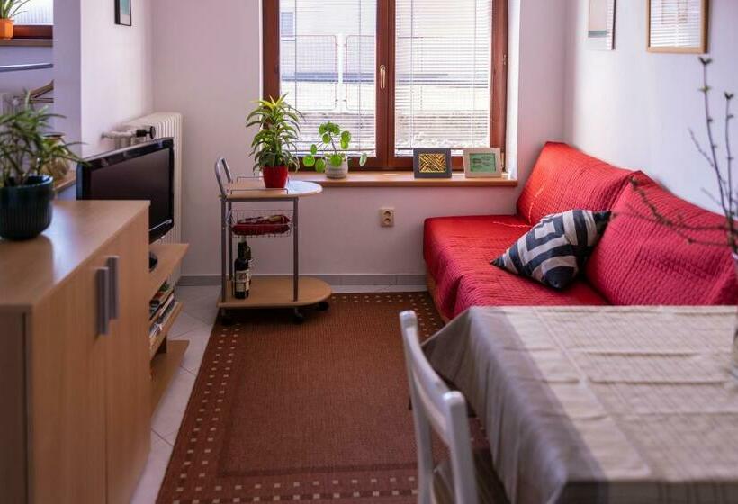 شقة غرفة واحدة, Ubytování U Vávrů