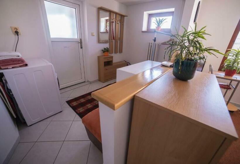 شقة غرفة واحدة, Ubytování U Vávrů