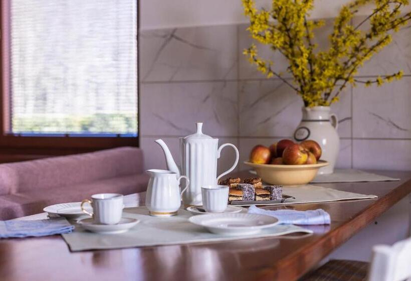 شقة سوبريور غرفة واحدة, Ubytování U Vávrů