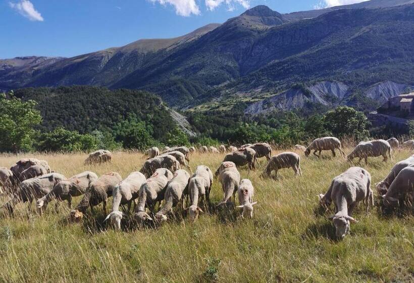 マウンテンビュースタンダードルーム, La Peyregoune, Logement En Pleine Nature Et Table D Hôtes