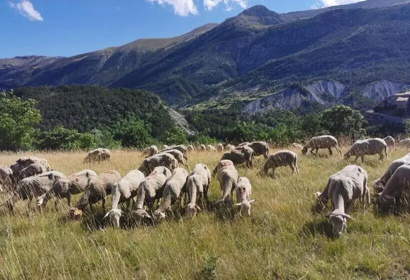 マウンテンビュースタンダードルーム, La Peyregoune, Logement En Pleine Nature Et Table D Hôtes