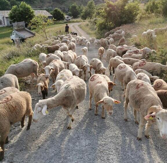 マウンテンビュースタンダードルーム, La Peyregoune, Logement En Pleine Nature Et Table D Hôtes
