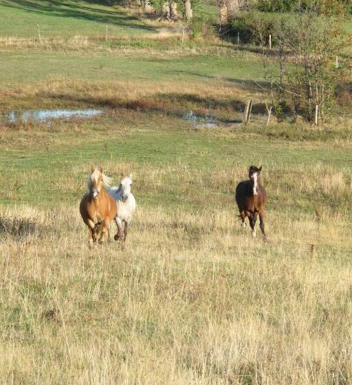 バス共有のスタンダードルーム, Le Corral Chambre D Hôte