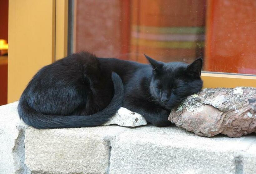 バス共有のスタンダードルーム, Le Corral Chambre D Hôte