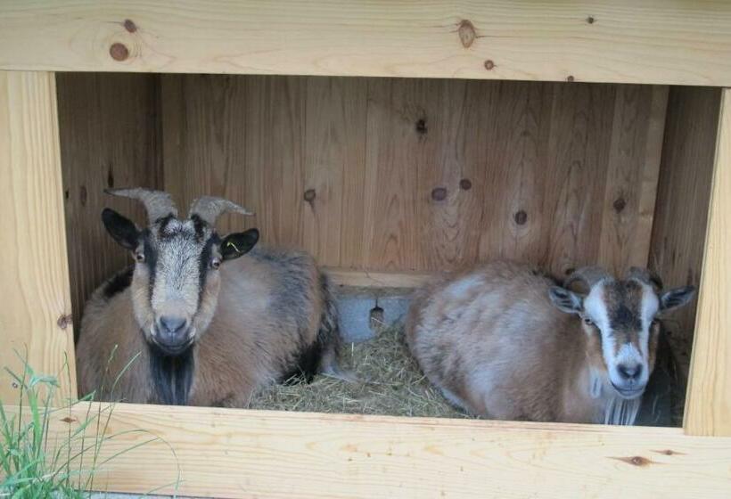 バス共有のスタンダードルーム, Le Corral Chambre D Hôte