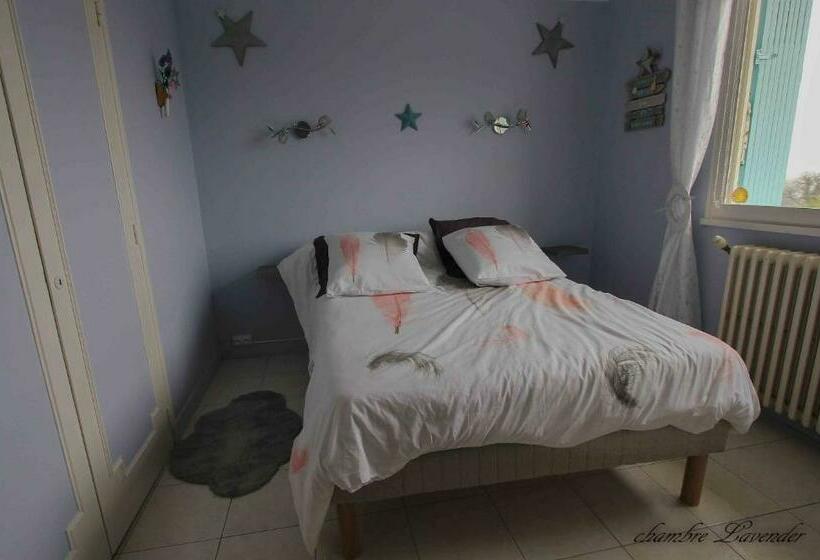 غرفة قياسية, O Jardin