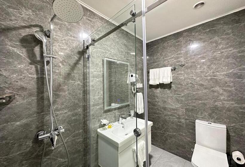 غرفة ديلوكس, Garnet Hotel Tashkent