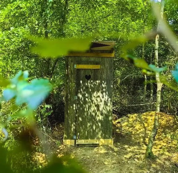 デラックスの４人部屋, Andělský Dvůr