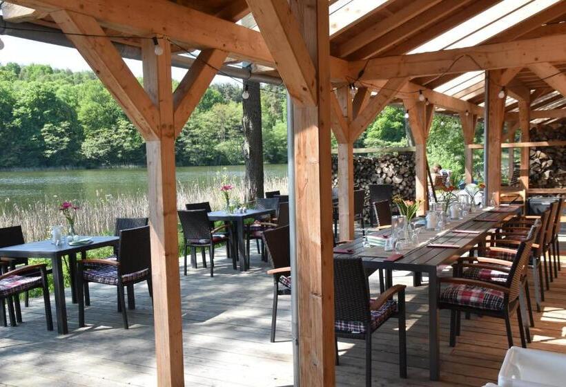 Номер Стандарт Вид на Озеро, Seehaus Hartwigsdorf