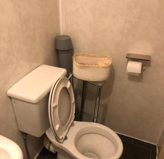 Номер Стандарт, Chaplins