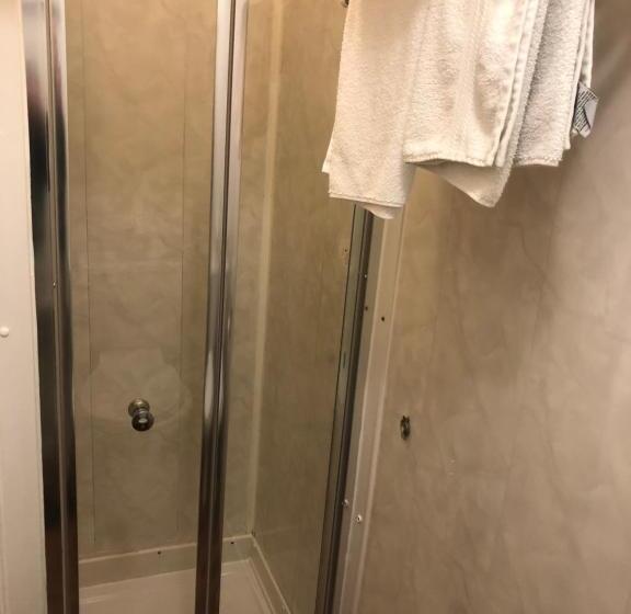 Номер Стандарт, Chaplins