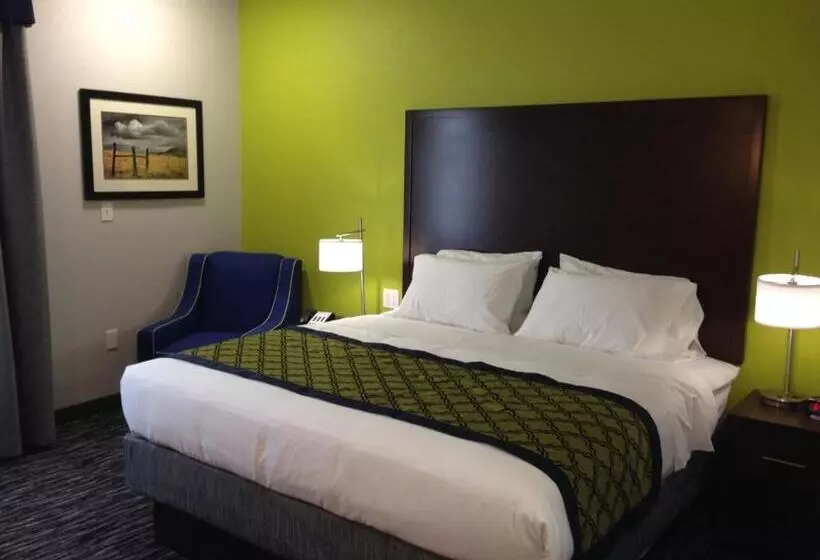 デラックススイート２ベッドルーム, Hawthorn Extended Stay By Wyndham Midland