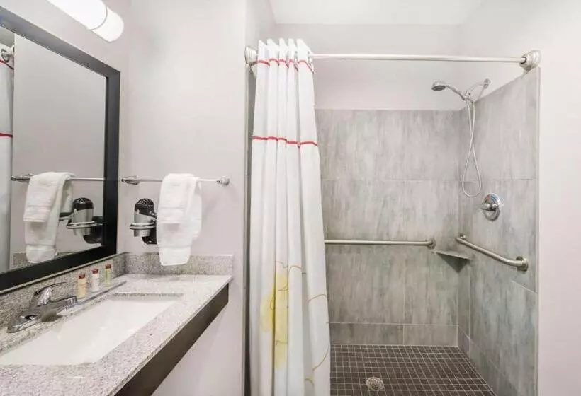 デラックススイート２ベッドルーム, Hawthorn Extended Stay By Wyndham Midland