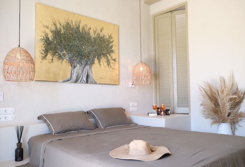 1间卧室的房子, Onar Andros