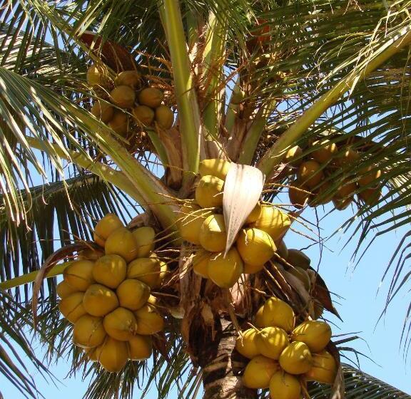 ویلای 3 خوابه, Paradise Beach Hotel & Resort