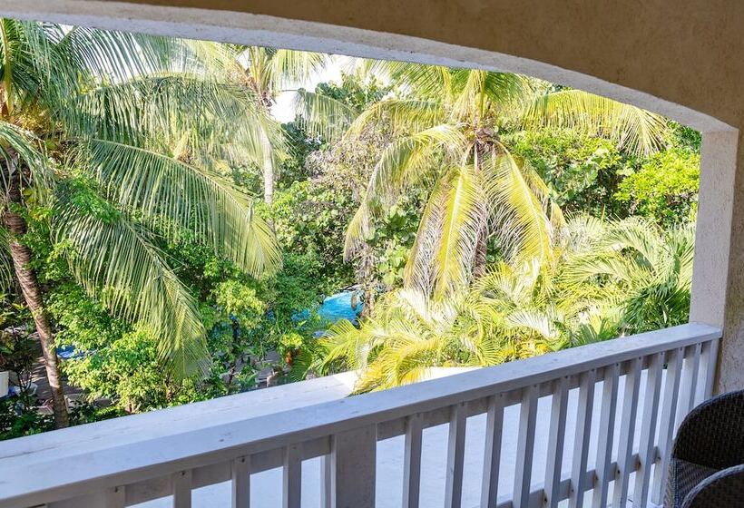 اتاق استاندارد با تخت بزرگ, Paradise Beach Hotel & Resort