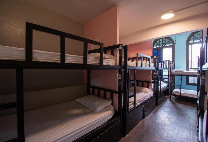 تختخواب در اتاق مشترک, Travel Hub Guesthouse