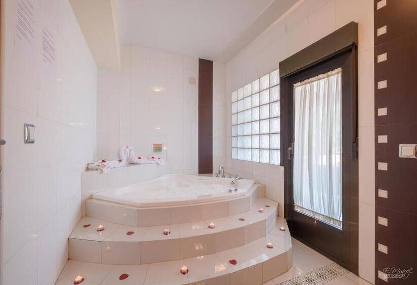 标准间带漩涡浴缸, Vivar