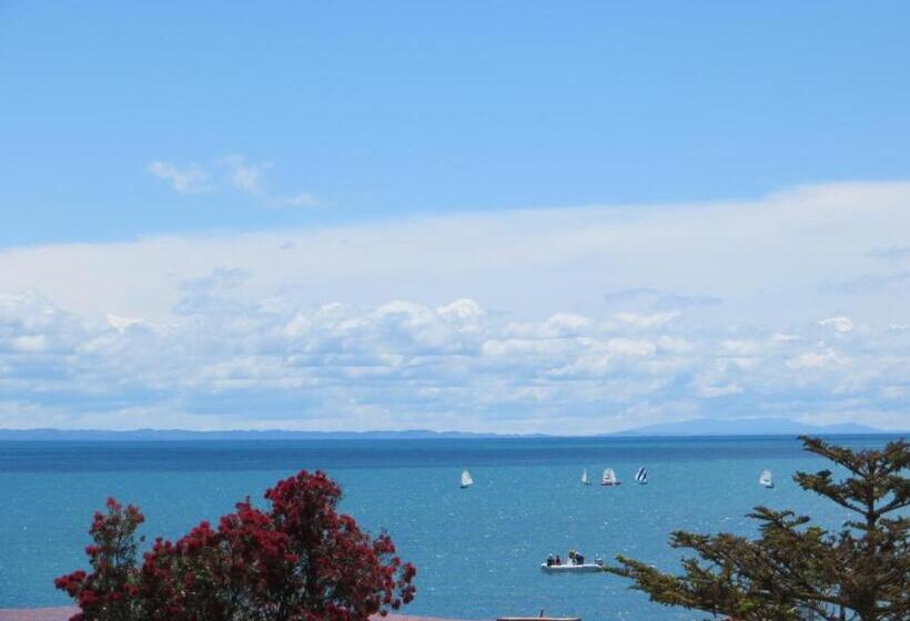סטודיו סטנדרטי נוף לים, Harbour View Seaside Accommodation Napier