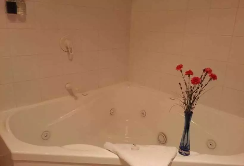 １ベッドルームアパートメント, New Castle Motor Lodge