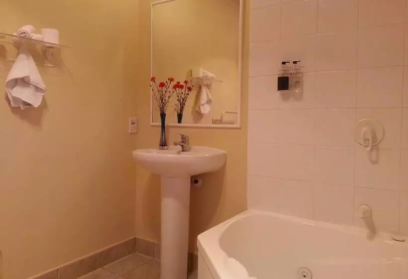 １ベッドルームアパートメント, New Castle Motor Lodge