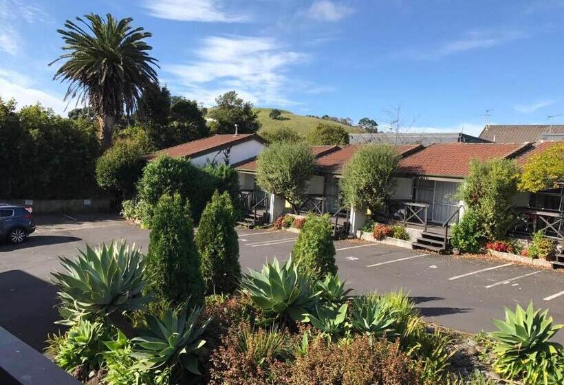 חדר סטודיו סטנדרד, Siesta Motel