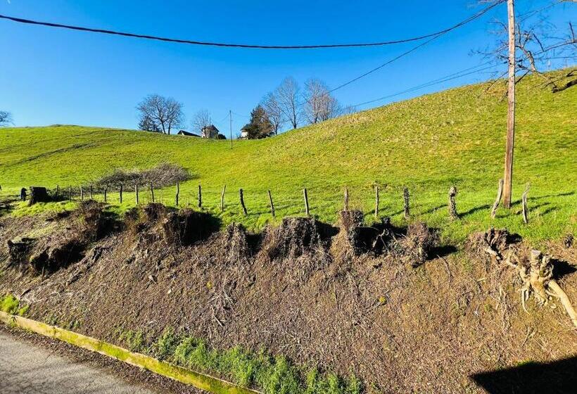 디럭스 트리플 룸, Le Lodge Du Pichat