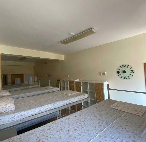 تختخواب در اتاق مشترک, Garden Hostel