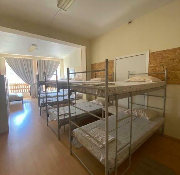 تختخواب در اتاق مشترک, Garden Hostel