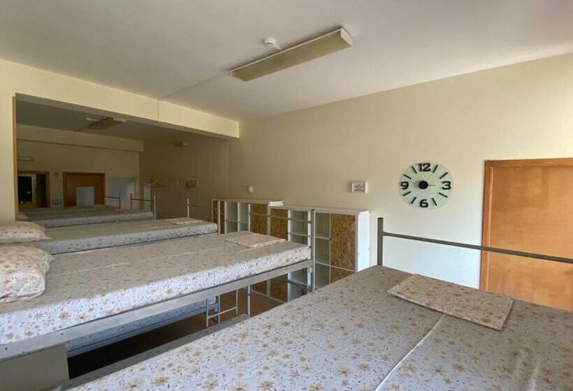 تختخواب در اتاق مشترک, Garden Hostel