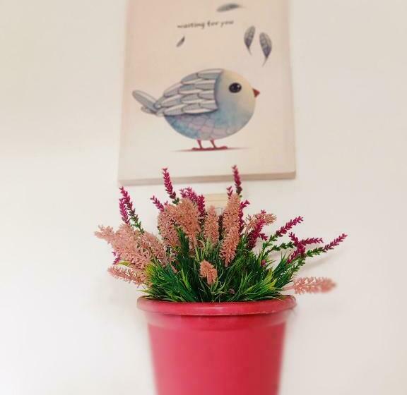 이코노미 룸, Smallfry S Beach Resort